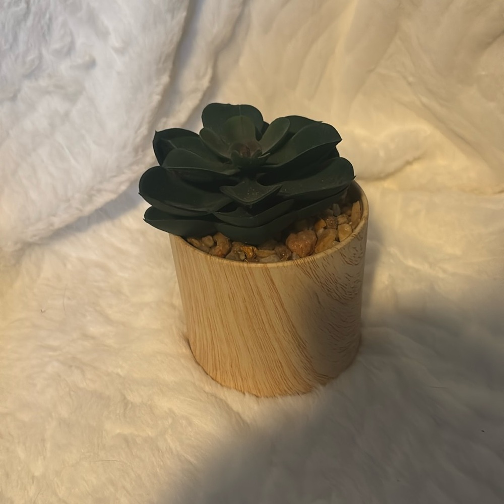 Fake succulent